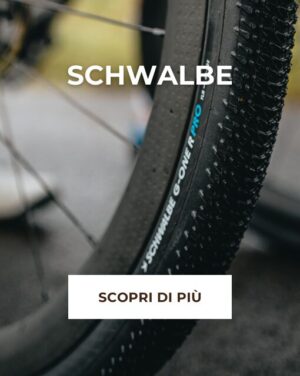 Schwalbe