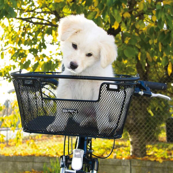 CESTO BRN HAPPY PET PER TRASPORTO ANIMALI - immagine 3