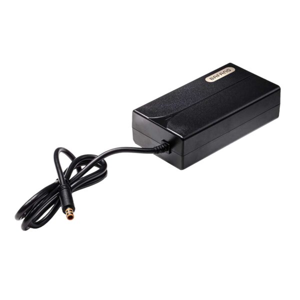 CARICABATTERIE BAFANG 43V LITIO