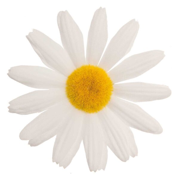 FIORE BRN PICCOLO MARGHERITA BIANCA