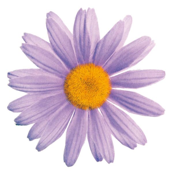 FIORE BRN PICCOLO MARGHERITA LILLA