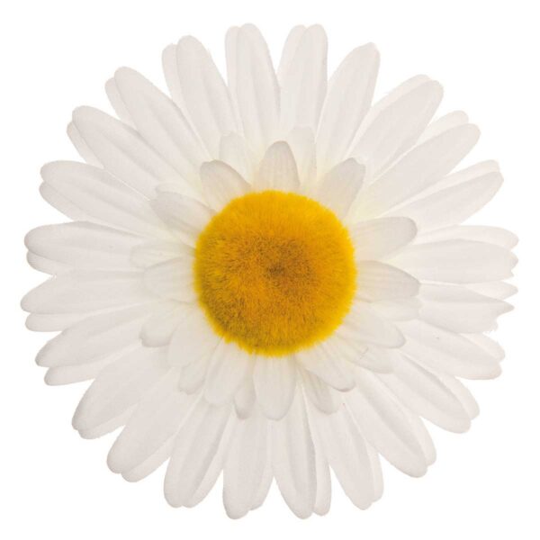 FIORE BRN GRANDE MARGHERITA BIANCA