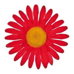 FIORE BRN GRANDE MARGHERITA ROSSA