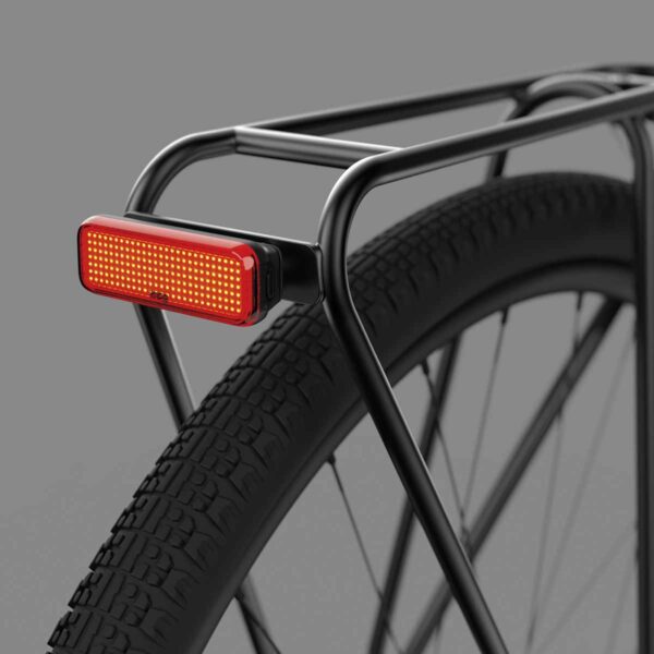 FANALE KNOG BLINDER LINK POSTERIORE AL PORTAPACCO - immagine 2