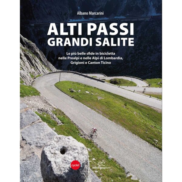 LIBRO: ALTI PASSI GRANDI SALITE