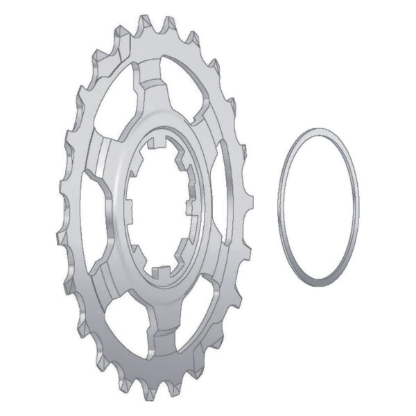 PIGNONE+RONDELLA ULTIMA POSIZIONE CAMPAGNOLO 11 VELOCITA' 23 DENTI