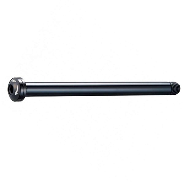 PERNO PASSANTE BOLT 100-M12XP1.5-B120-T12