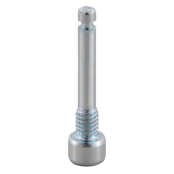 SPINA M4x22 PER AVID ELIXIR 5/7/9