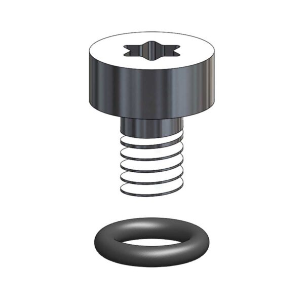 O-RING VITE SPURGO PER FORMULA THE ONE - immagine 2