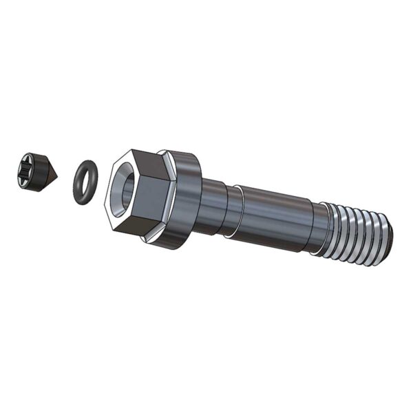 O-RING VITE SPURGO PER FORMULA RX - immagine 2